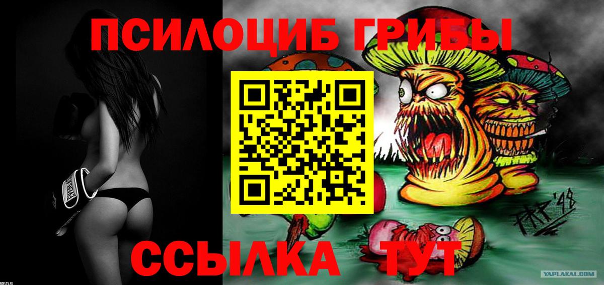 Россошь  Псилоцибиновые грибы мухоморы  Вход с VPN 